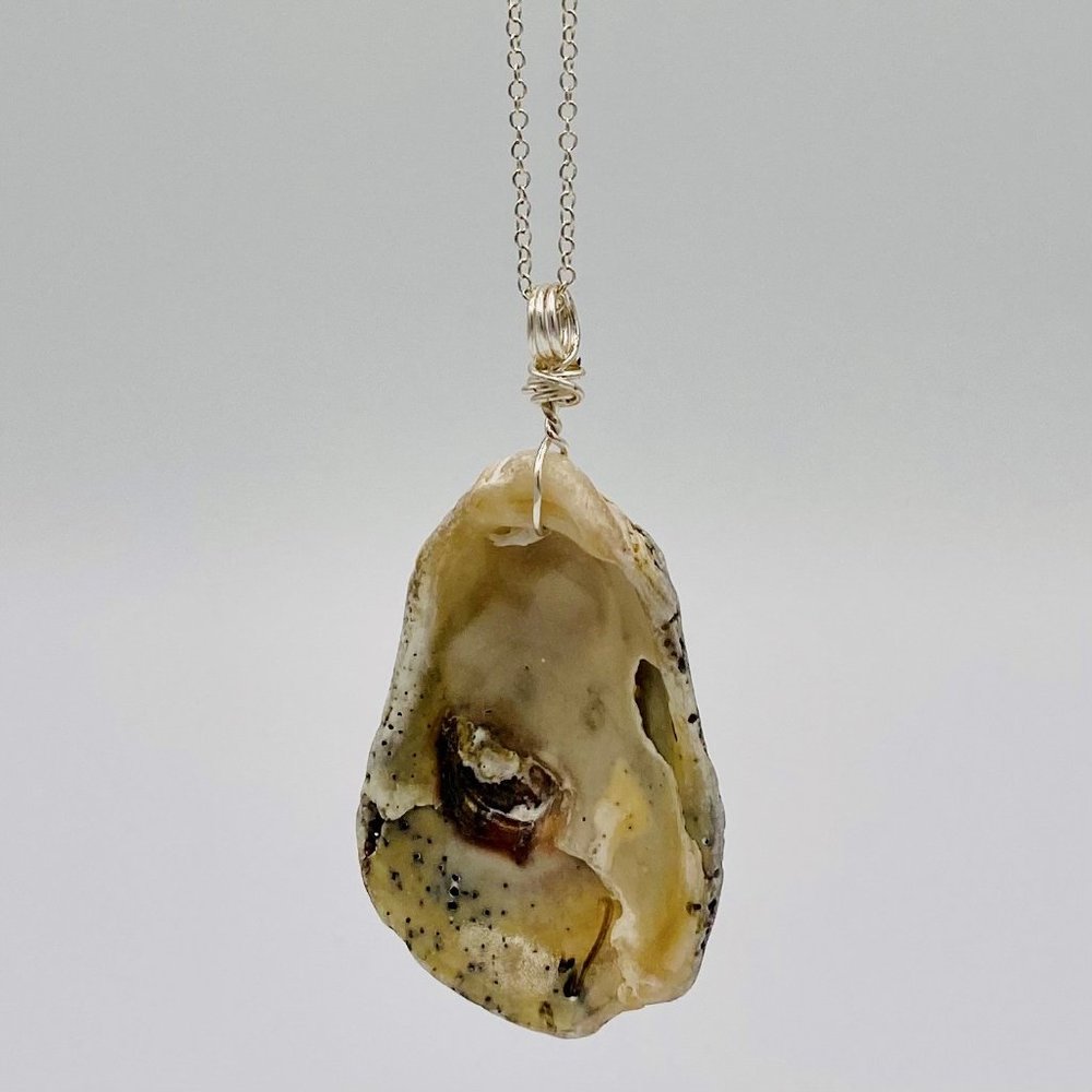 Shell Pendant on 24" Silver Chain Necklace; S24-03